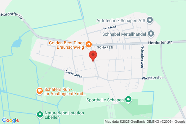 Vielsicht