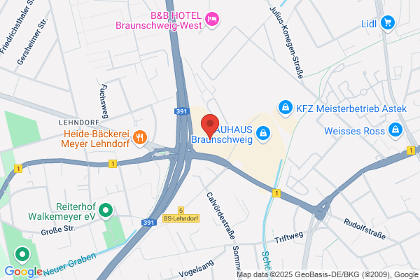 Braunschweiger Parlament