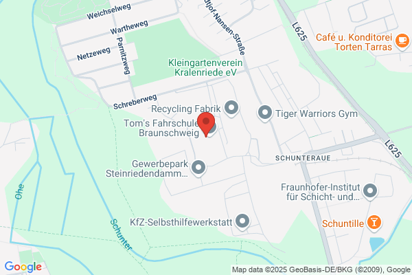 Tom's Kleinbus