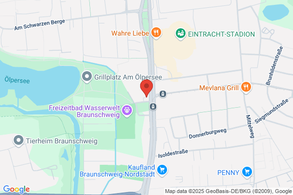 Puppita