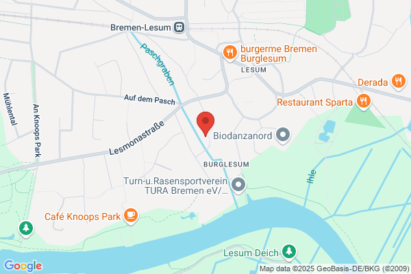 Geigenunterricht Bremen Birte Steffen