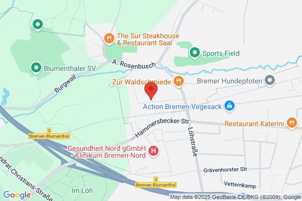 scaraboo GmbH