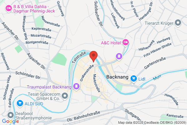 Backnanger Seniorentreff 60 plus e.V.