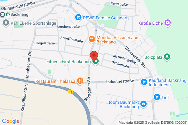 Martin Fensterbau GmbH & Co. KG