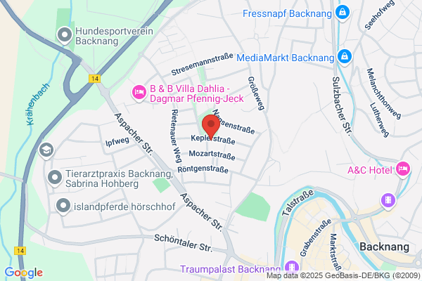 ABSCHNITT 15