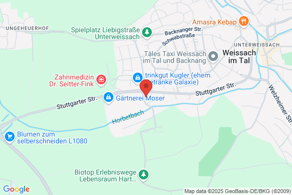 Fritz Services GmbH