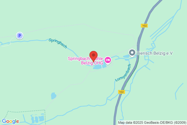 Coaching mit Pferd - Jana Grimm - Bad Belzig