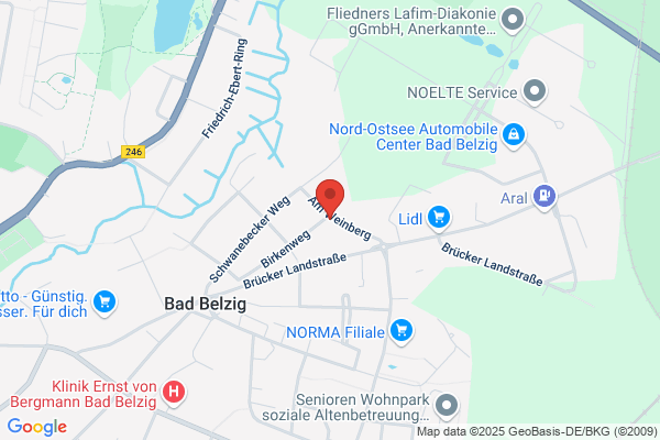 Nora Pribbernow