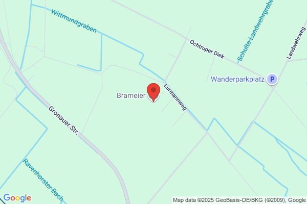 Brameier