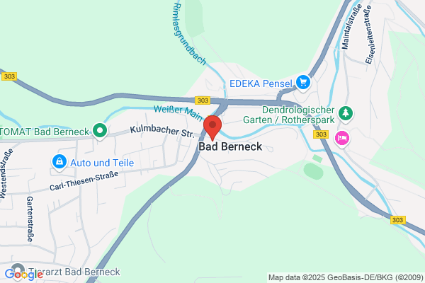 Auto-Check Bad-Berneck