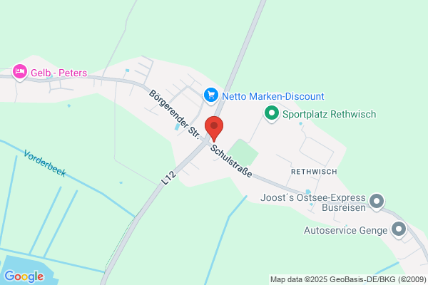Kiebitz an der Ostsee