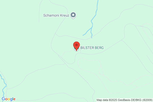 BILSTER BERG