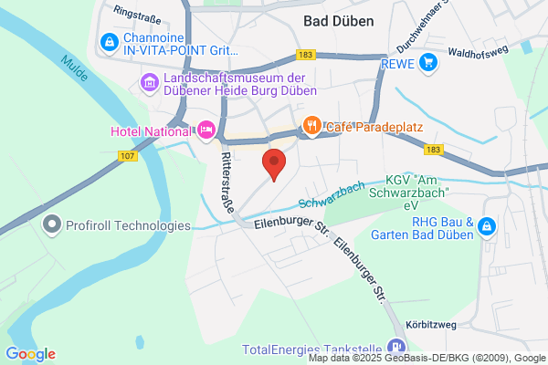 Dübener Heizölvertrieb GmbH