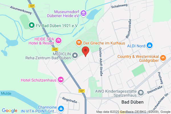 MEDICLIN Waldkrankenhaus Bad Düben