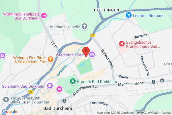 Mercure Hotel Bad Duerkheim An Den Salinen