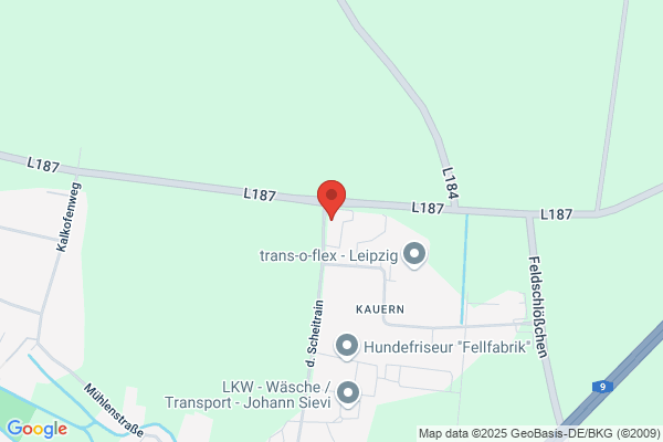 DÜBAU Bad Dürrenberger Bau GmbH