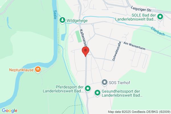 Transport Entsorgung/Containerdienst Umzüge