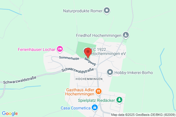 Bergweghalle Hochemmingen