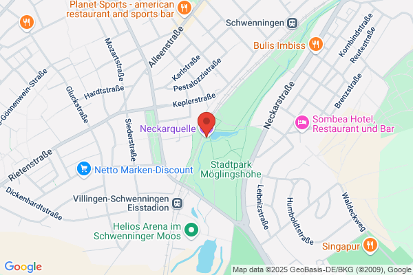 Neckarquelle