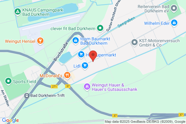 Gothaer Versicherungen in Bad Dürrheim Holm Fassbender