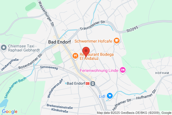 Holzwurm Pilspub