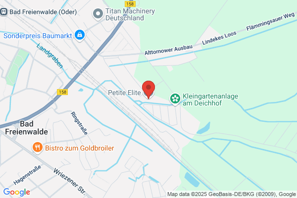 Zwergpudelzucht Kathrin und Christian Biesecke