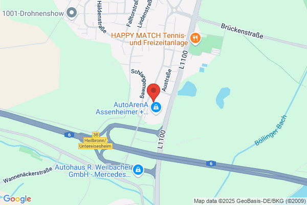Assenheimer & Mulfinger GmbH & Co. KG