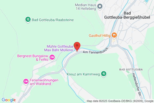 Mühle Gottleuba Max Bähr