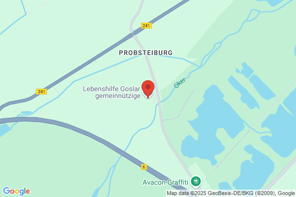 Lebenshilfe Goslar gem. GmbH