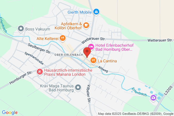 Alte Brücke Obererlenbach