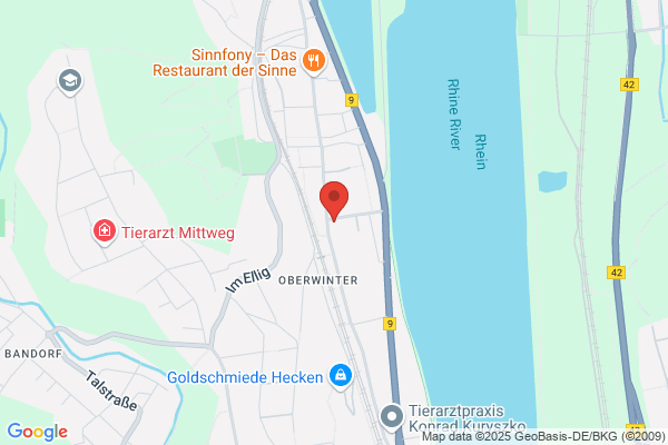 SaniTeam GmbH