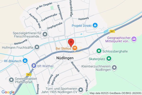 Die PflegeProfis