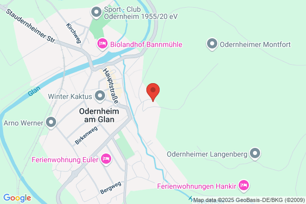 IT-Berater Uwe Mann