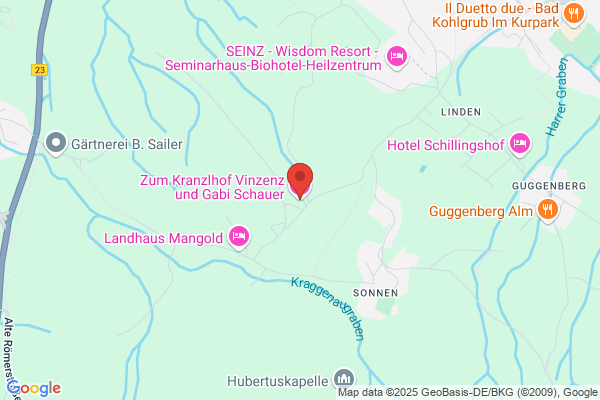 Vinzenz Schauer