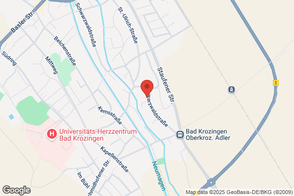 Hartwig Bächle