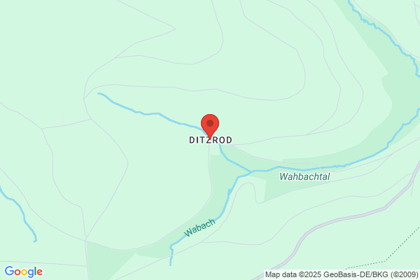 Forstgut Ditzrod Prinz zu Sayn-Wittgenstein-B.
