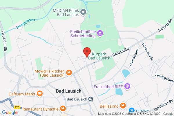 Sachsenklinik GmbH & Co. KG
