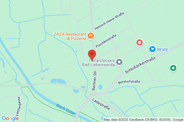 Alarmanlagen, Absicherungen aller Art, Video,Notrufzentrale Remus Tag+Nacht e.K.