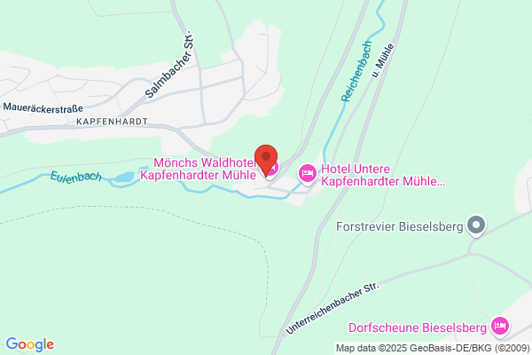 Ringhotel Mönch's Waldhotel Kapfenhardter Mühle