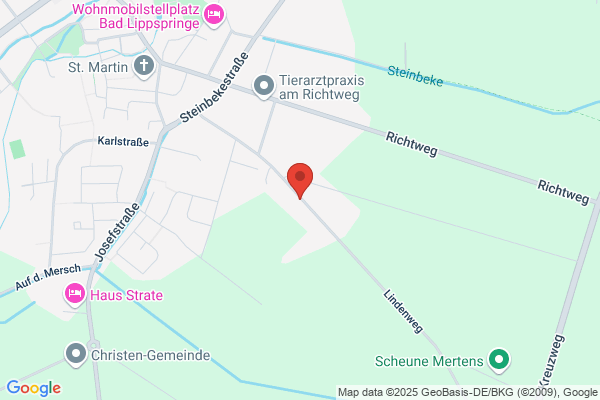 Fichtenkamp
