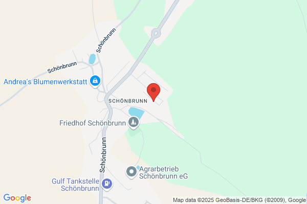 Fahrschule Spitzer