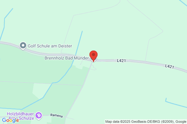 Kamin-u. Brennholz Heine & Swawoll GbR