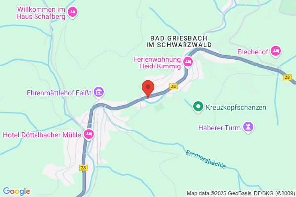 Gerüstbau Schmiederer GmbH & Co. KG