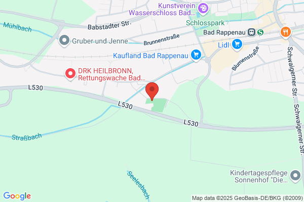 Schützenverein Bad Rappenau