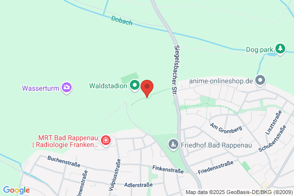 VfB Bad Rappenau e.V.