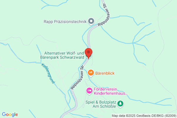 Alternativer Wolf- und Bärenpark Schwarzwald