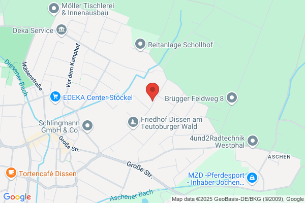 Biewener GmbH
