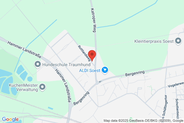 Kindergarten Löwenzahn -