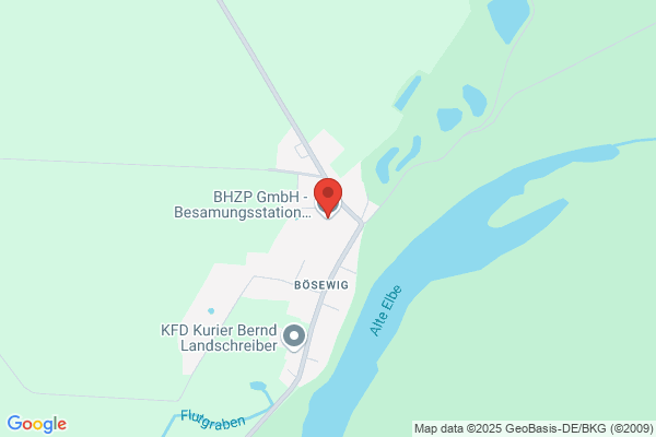 BHZP GmbH