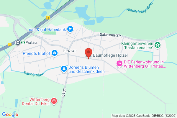 Hölzel